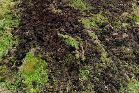 Autoridades imponen denuncia por ingreso ilegal de vehículos 4x4 al Parque Nacional Cajas