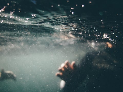 Súperamebas come cerebro acechan en el agua: viven en tuberías, son resistentes al cloro, al calor y transportan bacterias que burlan los antibióticos