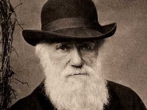 Charles Darwin, científico: “No es la especie más fuerte la que sobrevive, ni la más inteligente, sino la que mejor se adapta al cambio”