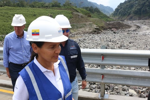 Manzano: Generación existe, el problema es en la distribución