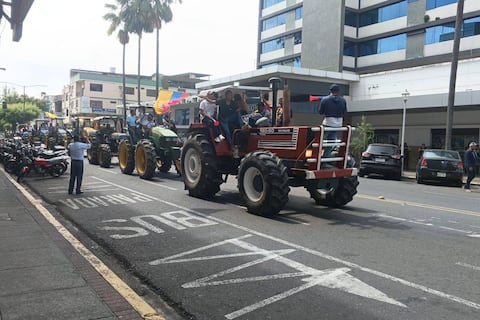 Arroceros de Los Ríos se movilizan para exigir mejores precios: autoridades reciben a dirigentes