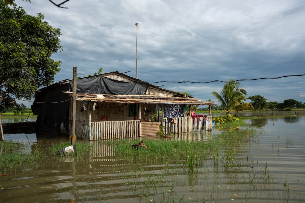 Casi 50.000 animales han muerto en Ecuador durante la temporada de lluvias