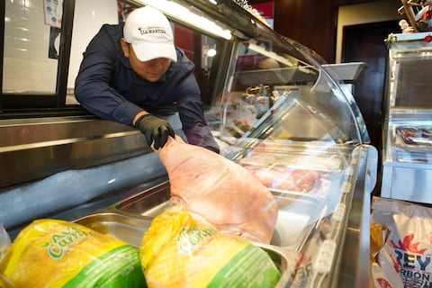 Productores avícolas y porcícolas plantean reducir costos internos y optimizar precio del maíz para competir con Estados Unidos