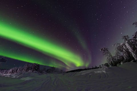 Las auroras boreales podrían iluminar el cielo esta noche por una intensa tormenta solar