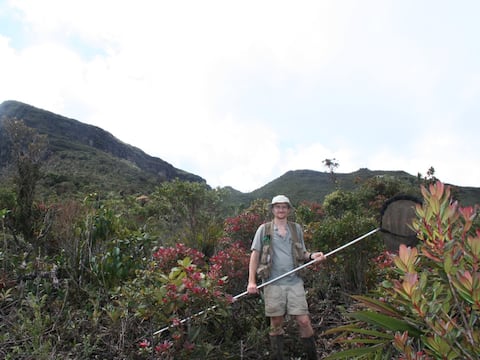Entre insectos con alas transparentes y manchadas por el fuego: Keith Willmott lleva más de 30 años investigando a las mariposas de Ecuador