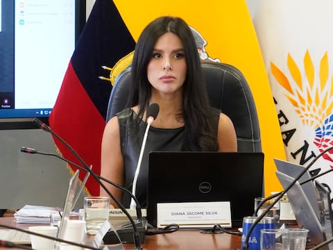 Diana Jácome cuestiona pago de $ 1.400 por residencia de Juan Andrés González, quien no asiste al pleno