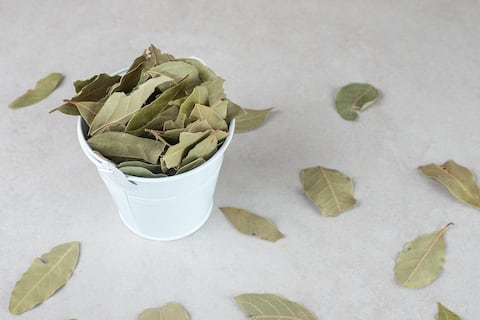 Ritual con hojas de laurel para atraer la prosperidad y purificar el hogar