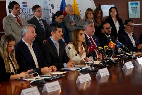 Gobierno ofreció revisar medida de ‘apagón industrial’, asegura la presidenta del Comité Empresarial