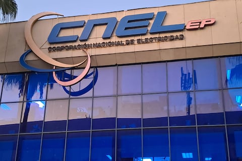 Este es el último mes que llegará la planilla física de CNEL, así debe actualizar sus datos
