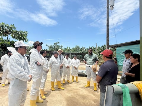 Con medidas inmediatas por lluvias ‘se redujo significativamente el potencial de dispersión del Fusarium’