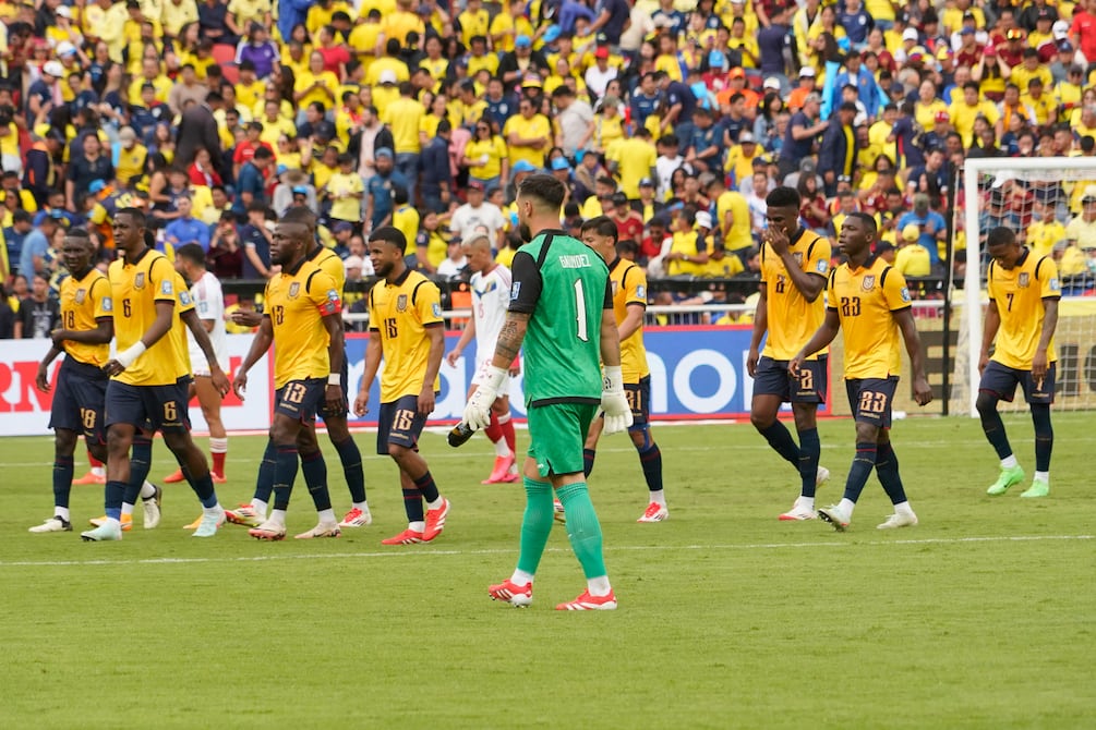 ¿Cuándo juega la selección de Ecuador frente a Brasil por la fecha 15 de las eliminatorias sudamericanas?