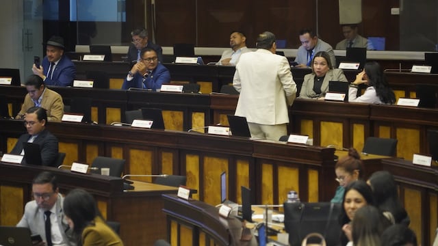 ADN busca los votos para la ley urgente sobre el manejo eficiente del gasto de los gobiernos autónomos descentralizados