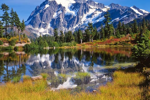 El negocio de cuidar la naturaleza