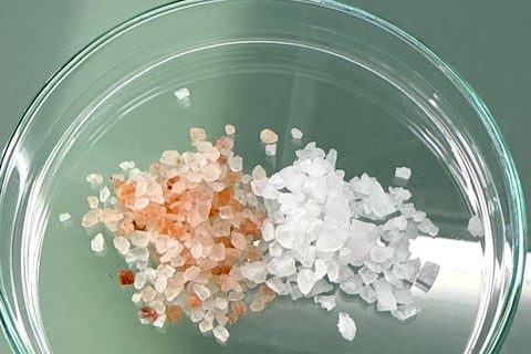 La sal no refinada en Ecuador es un peligro y en muchos casos presenta microplásticos, alerta investigación