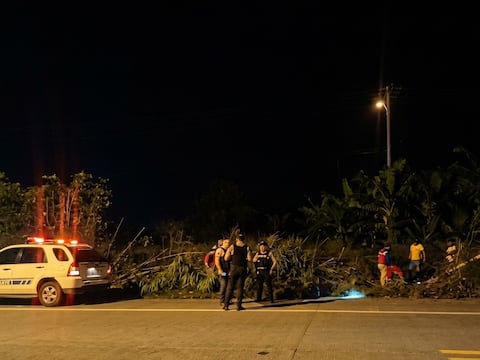 Bus de Reina del Camino cae a barranco en Manabí: 11 heridos y varios niños afectados