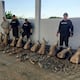 Hallan 108 partes de fauna silvestre ocultas en comuna de Santa Elena durante operativo ambiental