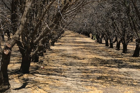 El cambio climático no golpea por igual a EE. UU., advierte un nuevo estudio