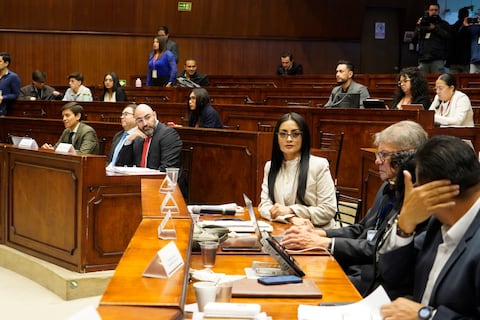 Judicatura tendrá una renovación exprés: Consejo de Participación Ciudadana declara ausencia definitiva de Alexandra Villacís y pide nueva terna a la Corte Nacional