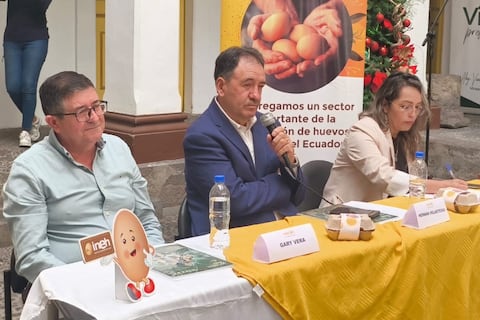 Ecuador enfrenta una sobreproducción diaria de huevos que provoca pérdidas en las avícolas