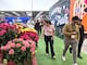Florícolas de Ecuador empiezan a preparar San Valentín 2027 con factores a su favor
