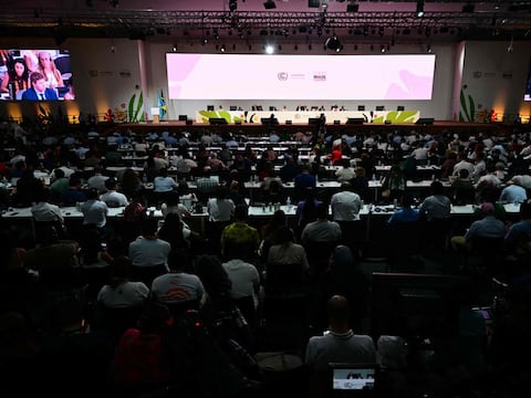 Varios países latinoamericanos, entre ellos Ecuador, objetan la toma de decisiones en la COP30