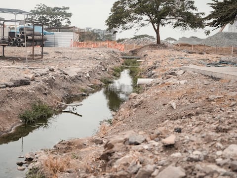 Presiendente Daniel Noboa califica de ‘negligencia’ de las autoridades municipales la mala calidad del agua que se entrega a Guayaquil