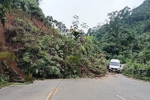 Estado de las vías en Ecuador este domingo, 8 de febrero: deslizamientos afectan la circulación en Azuay y otras provincias