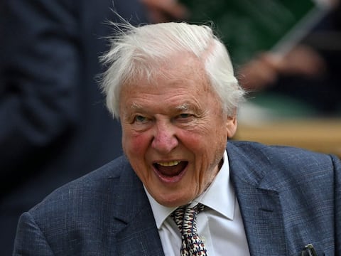 Naturalista Richard Attenborough cumple 100 años: el rey Carlos y la reina Camila entre los primeros en felicitarlo