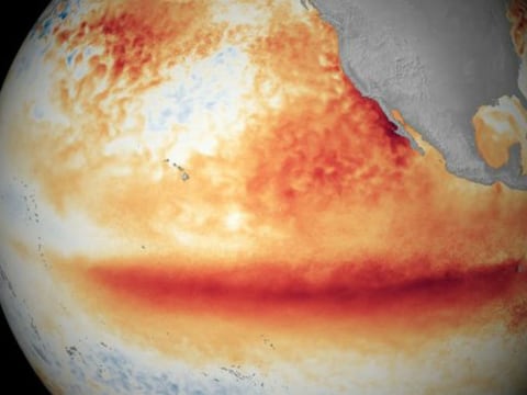 Alerta mundial por el súper El Niño 2026: el evento más devastador en 150 años que resuena con superar al de 1877