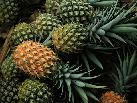 Estos productos de Ecuador entran en acuerdo con Estados Unidos para no pagar sobretasa arancelaria