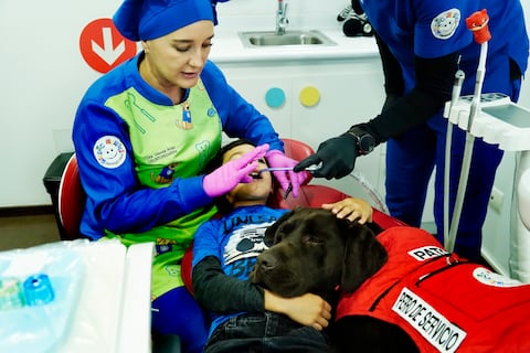 Patch heredó la misión de Aldo: calmar el miedo infantil al dentista en Quito y Guayaquil