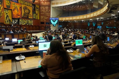 Asamblea aprueba proyecto de ley que incorpora la psicoeducación en la malla curricular en todas las unidades educativas