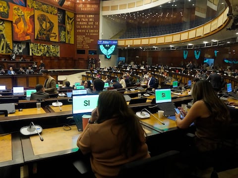 Asamblea aprueba proyecto de ley que incorpora la psicoeducación en la malla curricular en todas las unidades educativas
