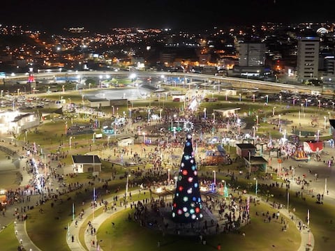 Megaparque Agustín Intriago de Manta brilla con un árbol de 25 metros