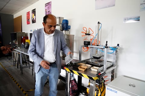 Envases biodegradables de uvilla buscan reemplazar al plástico: así es el proyecto universitario que despierta interés empresarial