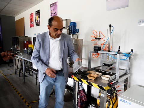 Envases biodegradables de uvilla buscan reemplazar al plástico: así es el proyecto universitario que despierta interés empresarial