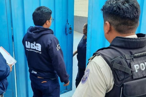 Tres perros logran una nueva vida tras brutal maltrato en Quito: agresores fueron multados con más de $ 11.000