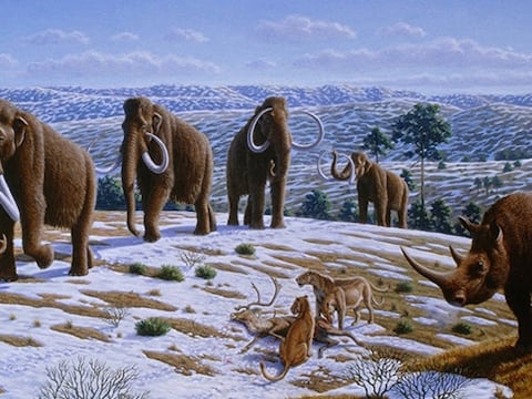 La transformación climática más grande del Cono Sur: el estudio definitivo sobre cómo se formó la fauna de Argentina, Brasil y Chile