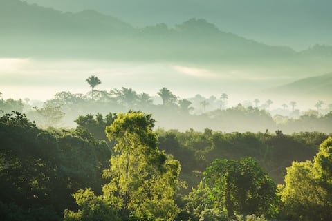 Durante eventos de El Niño se registra más CO2 en la atmósfera, indica estudio