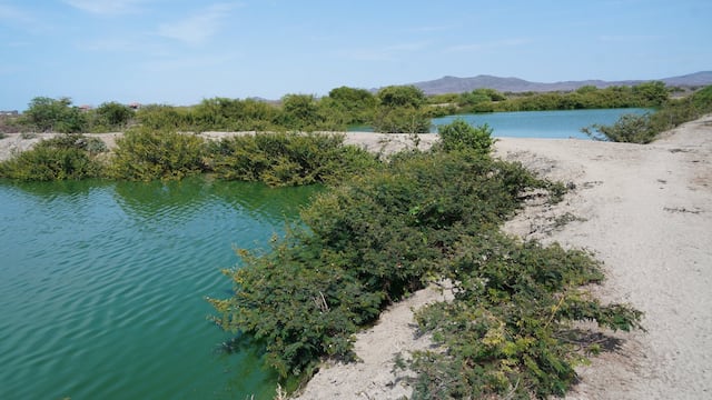 ‘Lo que pasó en su momento, descuido, problemas y todo lo que ha pasado, quedó atrás. Estamos tratando de arreglar lo que ha venido sucediendo en Playas’
