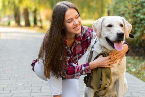 Este perro es el alma gemela de las personas que cumplen años en agosto: “Suelen ser subestimados hasta que se los ve en acción”