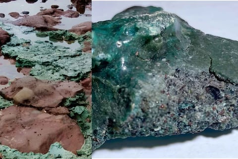 Rocas de plástico: anidación de las tortugas está cambiando la configuración de los fósiles del futuro