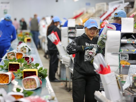 Expoflores estima caída de $ 6 millones en ingresos por flores en la temporada de San Valentín por sobretasas de EE. UU. y el clima
