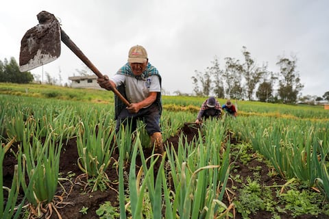 Conmemoración del Día de los Ingenieros Agrónomos