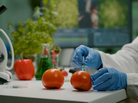 Avance histórico de edición genómica agraria