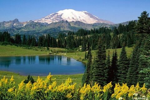 Los 50 años del Día internacional de la Tierra: La convivencia entre el ser humano y el planeta