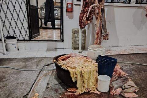 Carne almacenada en baldes viejos y sucios se encontró en centro de faenamiento clandestino, en Quito