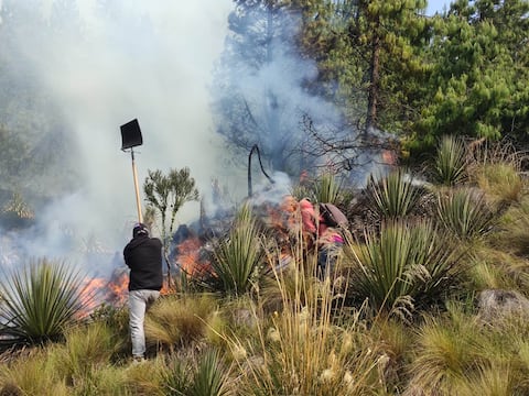 Disminuyen las lluvias en Ecuador y se incrementa el riesgo de incendios forestales, esto advierte el Inamhi