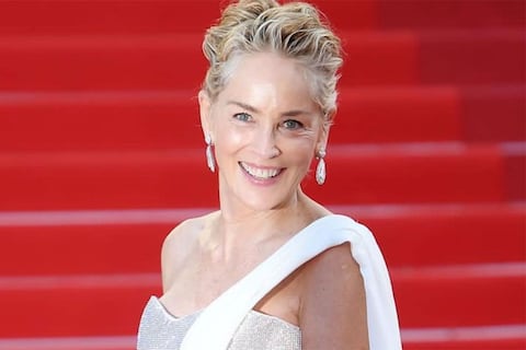 Quiénes son los tres hijos de Sharon Stone que adoptó luego de nueve pérdidas por aborto espontáneo: La actriz perdió la custodia de uno de ellos y a los otros los crió como madre soltera