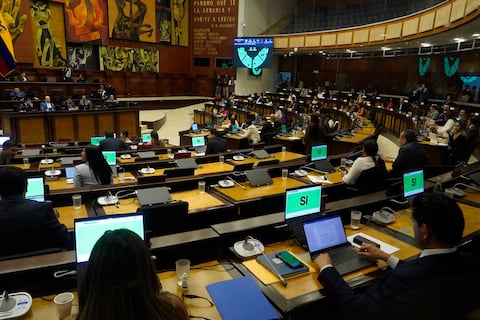 Asambleístas condenan bloqueo de acceso ordenado por la Contraloría a declaraciones patrimoniales de funcionarios públicos